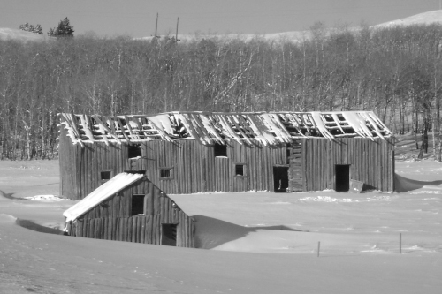 Road to Castle Mountain, Canada (2011)